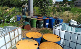 Basilicata, nel 2025 ben 966 reati ambientali: il bilancio dei Carabinieri Forestali