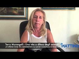 Marangelli: «Vi spiego come stanno le cose al canile comunale di Foggia»