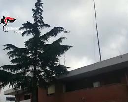 Sequestrano famiglia e poi tentano di uccidere 28enne: 4 arresti 