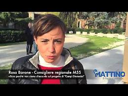 Rosa Barone: «Ecco perché a noi Campi Diomedei, così com'è, non piace»