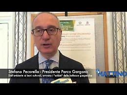 Pecorella: «Cerchiamo "soldati" delle bellezze del Gargano» 