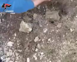 Armi e droga sul Gargano: smantellata organizzazione criminale, sette arresti