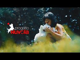 "Il cane è la tua famiglia, non un giocattolo". La bellissima campagna anti abbandono della Daruma dal cuore "canaro"