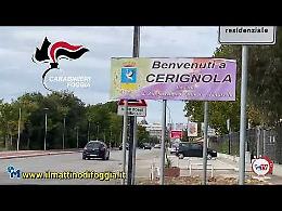 I Carabinieri ripuliscono il mercato della droga in provincia di Foggia, da Cerignola a San Severo