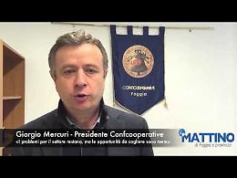 Mercuri (Confcooperative): «I problemi restano, ma le opportunità sono tante»