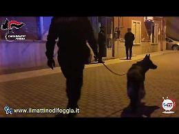 I Carabinieri di Foggia acciuffano Campanella, ritenuto responsabile dell'omicidio delle Palme a Trinitapoli