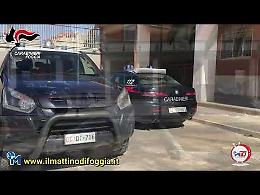 Anche due "Regine di Picche" tra i "Jolly" della droga scoperti dai Carabinieri tra San Severo, San Paolo e Torremaggiore