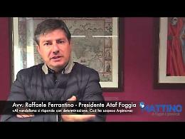 Ferrantino: «Ecco perché ho sospeso la corsa per Arpinova»