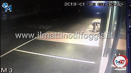 Ecco chi ha messo la bomba da Euronics