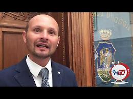 Così il faggio del Gargano colonizzò l'Europa 