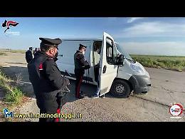 I Carabinieri di Foggia arrestano una tratta di caporali, con migranti costretti a lavorare nei campi di Stornara 16 ore al giorno