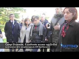 Campi Diomedei: la scaramuccia tra Landella, Piemontese, Rosa Barone e i grillini foggiani