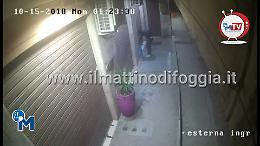 Foggia, ecco chi ha messo la bomba a "Esteticamente"