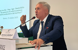 Nel 2023 l'agricoltura in Puglia ha perso 2.233 aziende, resiste solo Foggia