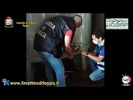 Vino "ubriaco" smerciato in provincia di Foggia: la GdF sequestra un milione di litri