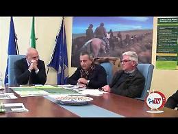 Torna Olivarum, il festival dell'olio della Basilicata
