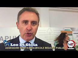 Sagra dell'asparago a Rocchetta, Di Gioia: «Filiera tipica locale possibile ma di qualità»