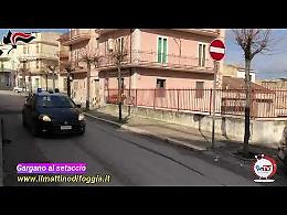 Gargano al setaccio, i Carabinieri scoprono droga, armi e munizioni: 2 arresti