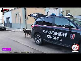 I Carabinieri di Foggia pizzicano 54enne con 55 chili di sigarette di contrabbando e 16mila euro in cantina