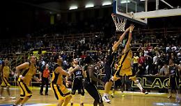 Il basket sta per tornare, pronte alle prime sfide le squadre di Capitanata