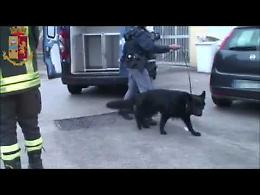 San Severo capitale dello spaccio di droga, anche per Abruzzo e Molise: 10 arresti dalla Polizia