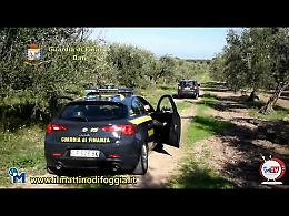 Assunzioni false in agricoltura, 21 arresti da parte della GdF per truffa aggravata all'Inps
