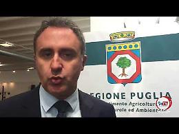 Fiera dell'Agricoltura a Foggia, Di Gioia: «Una sfida all'eccellenza»