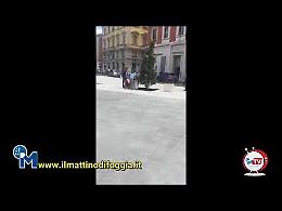 Foggia, porta via terriccio dall'aiuola di Piazza Giordano ma viene beccato da dipendente comunale