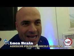 Braia: «Tartufo orgoglio lucano, la sfida vincente è mettere insieme colture e cultura»