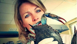 Lucrezia Cilenti nel team scientifico internazionale mobilitato per studiare il granchio blu, partendo da Lesina 