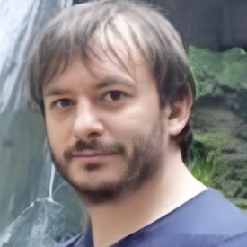 Andrea Nardelli