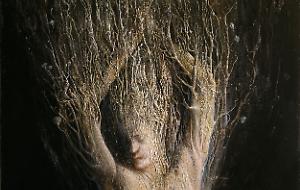 All’ombra del Cipresso… ecco perché è l'albero dei defunti