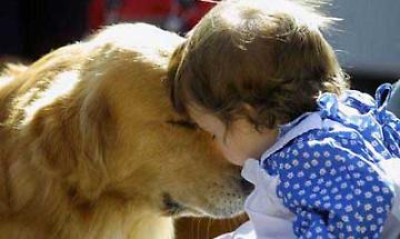 Gli animali curano: provare per credere!