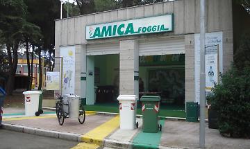 Oggi, 18 gennaio 2012, i giudici di Foggia dichiarano il fallimento dell'Amica