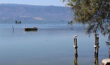 Un colpo nel silenzio del lago: carabiniere forestale di Formia, di 25 anni, si toglie la vita a Cagnano Varano