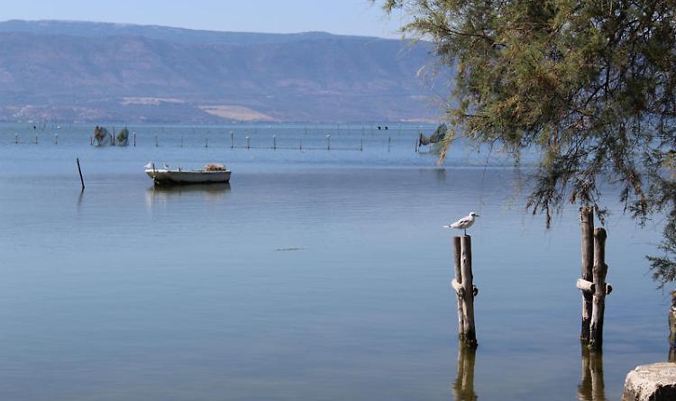 Un colpo nel silenzio del lago: carabiniere forestale di Formia, di 25 anni, si toglie la vita a Cagnano Varano